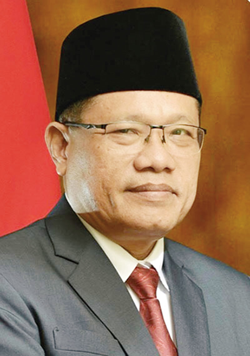 Robin P Hutagulung