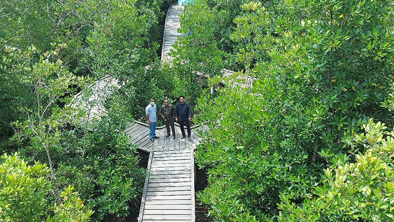 Jajaran Pansus III DPRD Kepulauan Merenti mengunjungi Wisata Hutan Magrove Desa Bokor, Kecamatan Rangsang, Kabupaten Kepulauan Meranti.