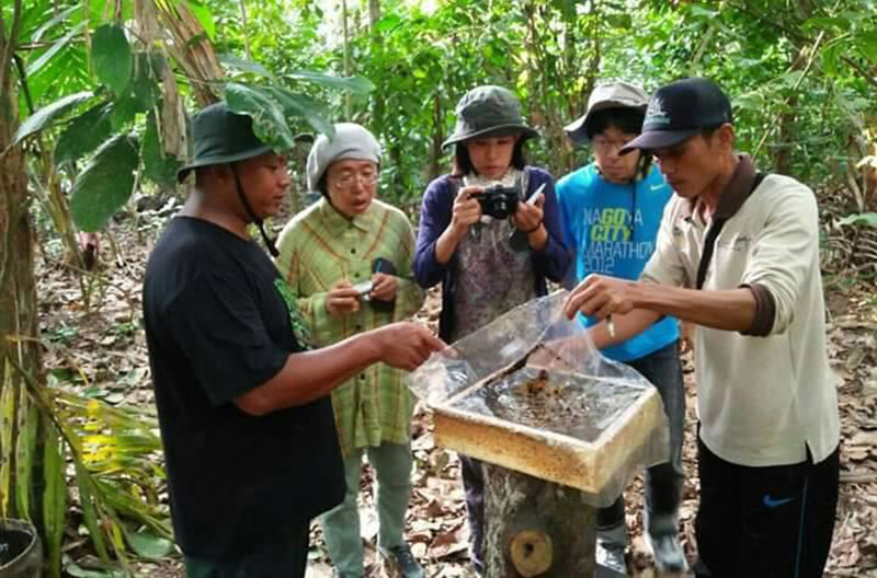 Setiono (baju hitam) saat menunjukkan sarang lebah kelulut kepada sejumlah wisatawan dari Jepang yang datang ke Kampung Rawa Mekar Jaya, Kecamatan Sungai Apit, Kabupaten Siak beberapa waktu lalu.(MPA RMJ FOR RIAUPOS.CO)