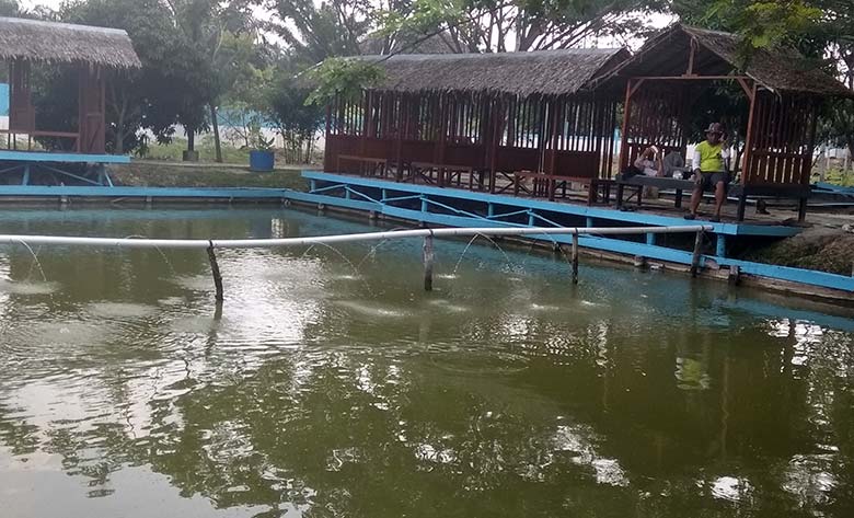 PEMANCINGAN: Suasanan wisata Sungai Tangon dengan kolam pancing yang cukup asri. Di objek wisata ini wisatawan juga bisa  naik kuda mengelilingi objeknya. mirshal/*1/riau pos