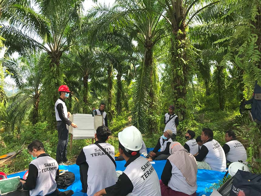 Pendampingan bagi petani swadaya untuk membantu meningkatkan praktik pertanian yang berkelanjutan melalui program Sawit Terampil.Â 