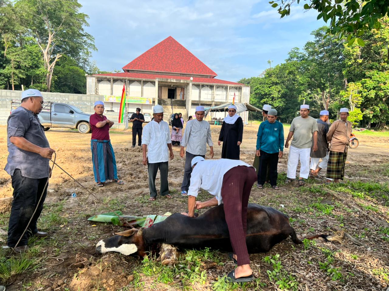 Sejumlah jemaah Thariqat Naqsabandi dari generasi muda terlihat mengikuti penyembelihan seekor sapu dalam rangka persiapan acara keluar Suluk 10 hari Milad Tuan Guru Syeikh Abdul Wahab Rokan Al-Kholidi Naqsabandy ke 211  atau tahun ke 4 di Desa RBS, Kecam