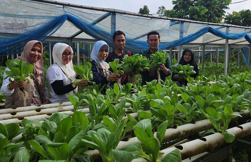 Kepala DKP Kota Pekanbaru, Maisisco SSos MSi (dua dari kanan) bersama sejumlah anggotanya menunjukkan sayur hasil dari pertanian sistem hidroponik di DK Green Farm, Kecamatan Kulim, Pekanbaru, baru-baru ini.