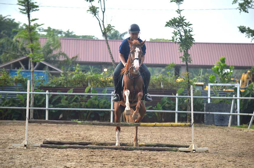 Seorang rider melewati rintangan bersama kudanya,