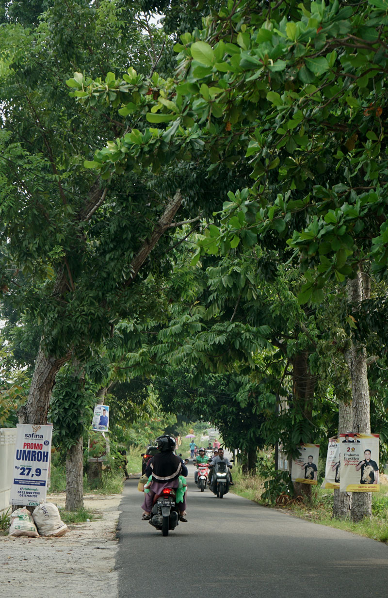 Spanduk caleg dan promosi  dipasang pada batang pohon pelindung di Jalan Purwodadi ujung, Kecamatan Tuah Madani, Ahad (15/10/2023).