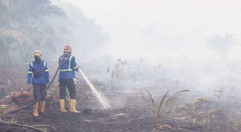 Petugas berupaya memadamkan api yang membakar lahan gambut di Kelurahan Gurun Panjang, Kecamatan Bukit Kapur, Dumai, Rabu (3/8/2023).