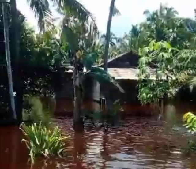 Akibat diguyur hujan sejak dini hari, puluhan rumah warga di Dusun Dusun Sei Buyung Desa Kembung Luar, Kecamatan Bantan, Bengkalis terendam banjir, Selasa (24/10/2023).