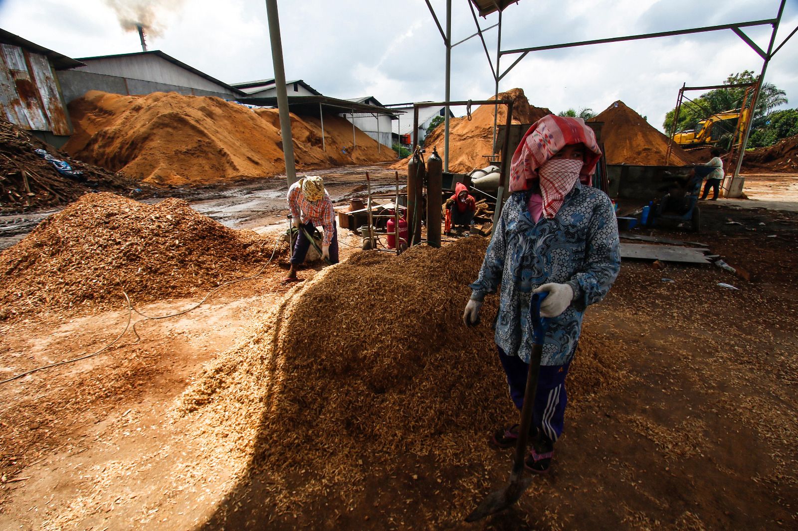 Para pekerja mengumpulkan sawdust dan woodchip di PT Marella Sukses Prima di Jalan Pasir Putih.