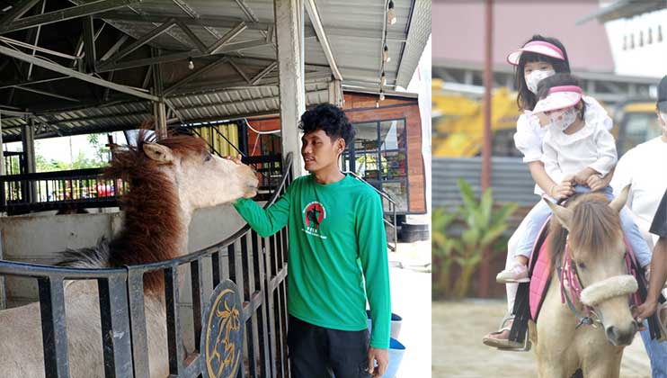 Kepala kandang Coach Aldo Ranch, Agus membelai salah satu kuda poni di wahana (kiri), Dua anak belajar naik kuda(kanan)