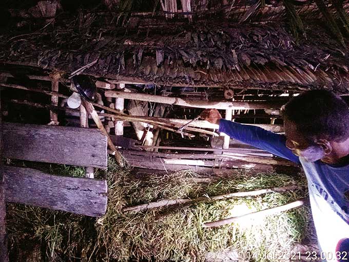 Kandang kambing milik Salimin warga Teluk Lanus yang jadi sasaran harimau, Kamis (14/7/2021). Seekor kambing dimangsa hewan yang dilindungi itu.
