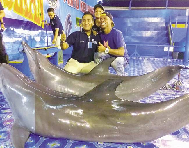 lumba-lumba: Pentas lumba-lumba kembali hadir di Pekanbaru di lapangan Bandar Seni Raja Ali Haji (Purna MTQ) mulai 12 Januari- 17 Februari 2019. Kota Bertuah akan menjadi kota terakhir untuk pertunjukan yang akan memberikan hiburan dan edukasi ini. humas