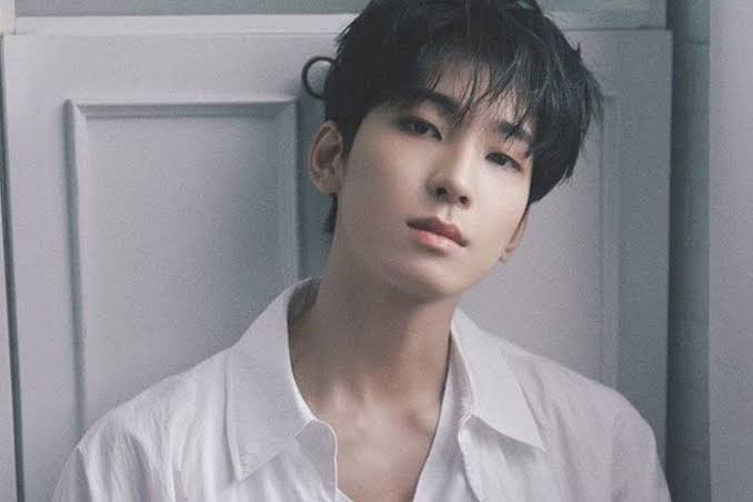 WONWOO SEVENTEEN
