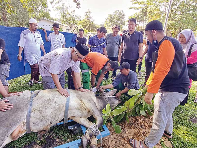 Pelaksanaan pemotongan hewan kurban di Masjid Attaqwa Townsite 1, Pangkalankerinci, Pelalawan disaksikan  Operational and Mill Support Director RAPP Mhd Ali Shabri (kiri depan).
