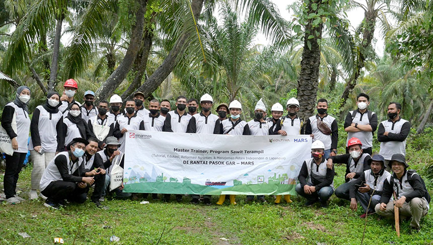 520 Petani Indonesia Menuju Sertifikasi RSPO bersama Program Sawit Terampil