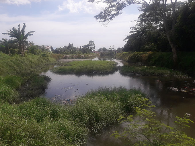 Kondisi Waduk Cipta Karya di Kecamatan Tuah Madani yang mengalami pendangkalan dan ditumbuhi semak belukar, Selasa (18/10/2022).