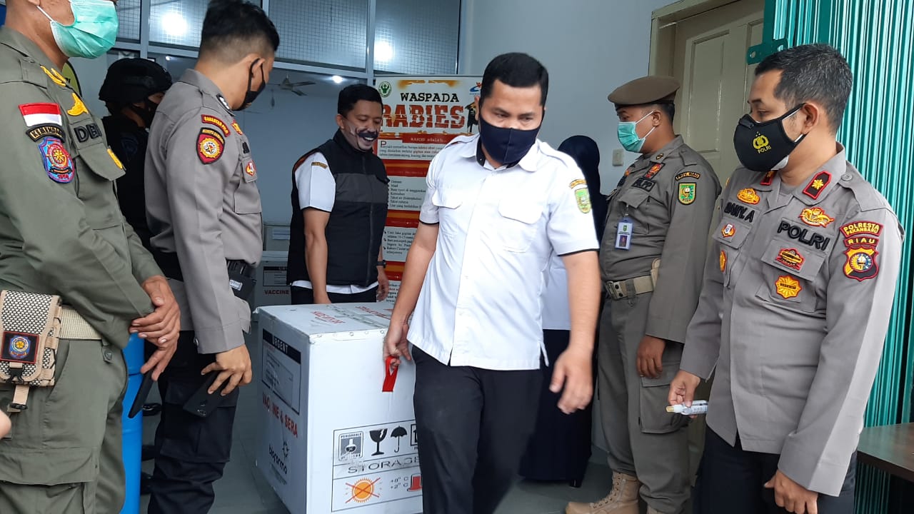 Petugas dinas kesehatan Riau memindahkan vaksin dari UPT Instalasi farmasi untuk dikirim ke tiga kabupaten/kota di Riau, Selasa (12/1/2021). (SOLEH SAPUTRA/RIAUPOA.CO)