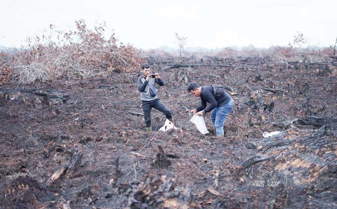 Ilustrasi karhutla. Hingga saat ini total lahan terbakar di Inhil mencapai 13,5 hektare.
