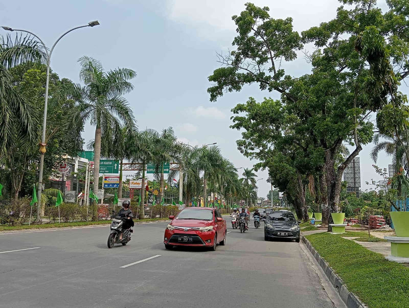 Deretan pohon pelindung tumbuh di pinggir dan median Jalan Jenderal Sudirman, Kamis (31/8/2023).