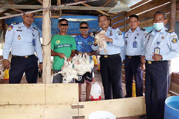 Kepala Lapas Bangkinang Mishabahuddin saat panen ayam potong broiler bersama warga binaan di Lapas Bangkinang, Senin (26/12/2022).