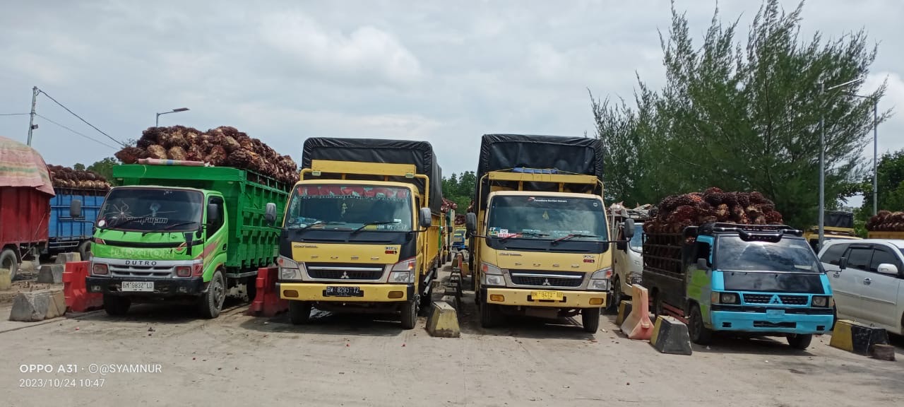 Ratusan kendaraan bermotor, jenis roda dua dan empat bermuatan barang, baik TBS kelapa sawit dan barang lainya harus mengantre sampai dua hari lamanya.