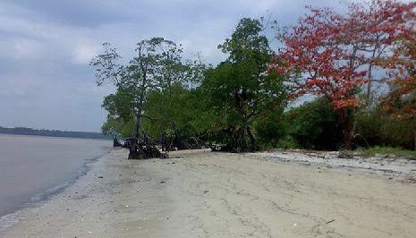 Pantai Solop, Pulau Cawan, Mandah, Indragiri Hilir.