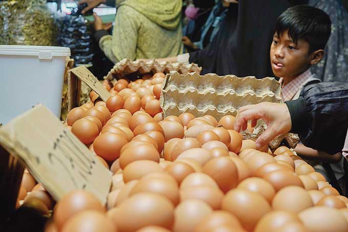 Pembeli memilih telur di Pasar Pagi Panam, Selasa (28/3/2023). Permintaan telur mulai meningkat jelang  hari raya Idulfitri.  Telur ukuran besar dijual Rp54 ribu per papan dan ukuran kecil Rp50 ribu per papan