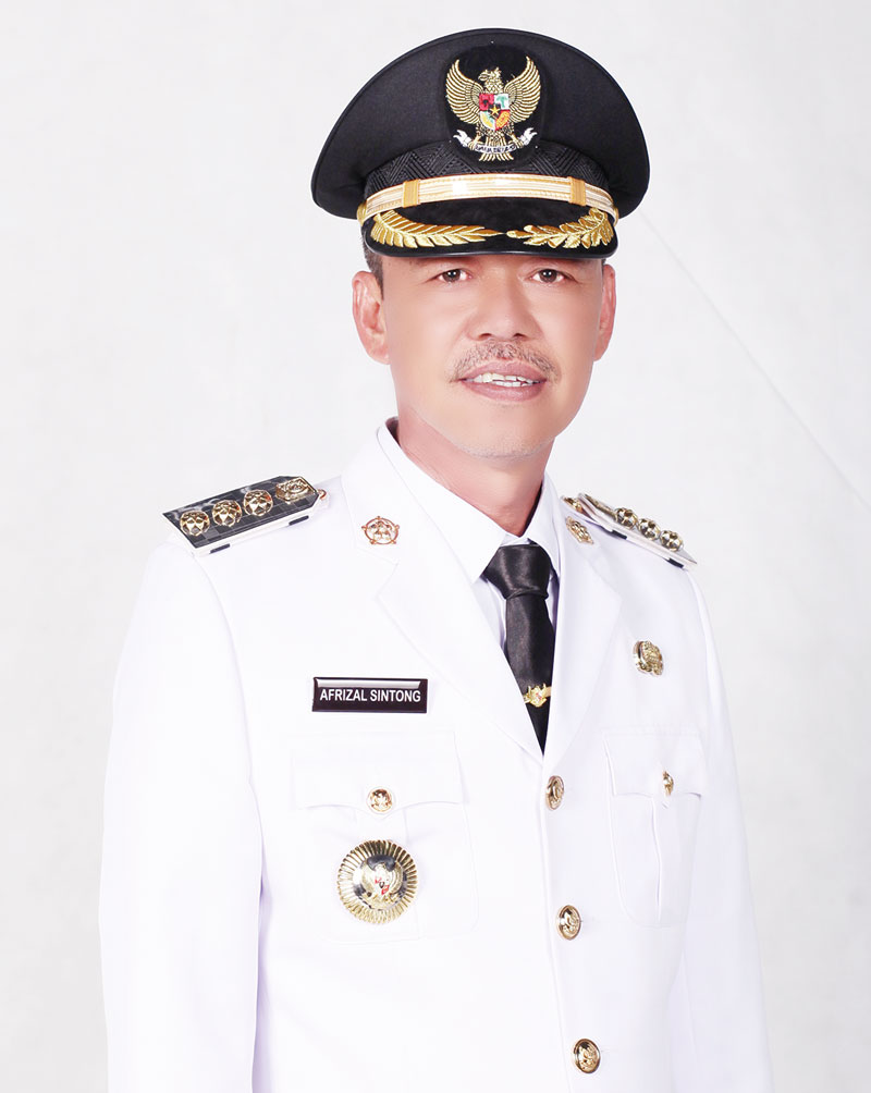 Bupati Rohil Afrizal Sintong SIP MSi