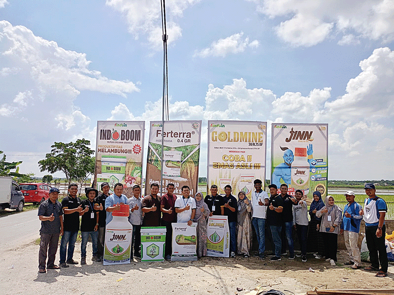 Perusahaan pestisida multinasional di Indonesia PT Indoin melakukan mini launcing produk kepada 142 petani padi di Toko Fajar Tani, Kecamatan Bungaraya, Kabupaten Siak, Ahad (27/8/2023).