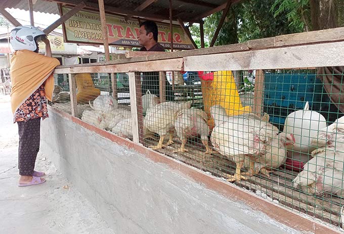 Pedagang ayam melayani pembeli di kios ayam potong, Jalan Cipta Karya, Pekanbaru, Senin (17/1/2022).  Harga ayam potong mengalami kenaikan, saat ini dijual Rp37.000/Kg.