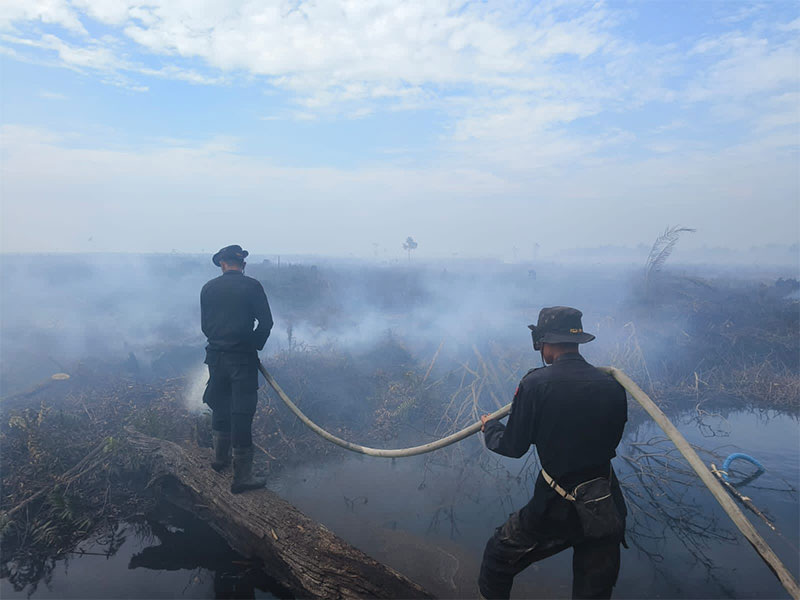Personel Brimobda Riau saat melakukan pendinginan di lokasi karhutla di Kecamatan Kubu Babussalam, Kabupaten Rohil, Senin (7/8/2023).