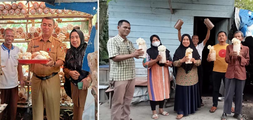 Adamri Lubis (kiri) foto bersama Kepala Disdalduk-KB Kota Pekanbaru, Muhammad Amin (tengah) saat melakukan panen jamur tiram, beberapa waktu lalu.
