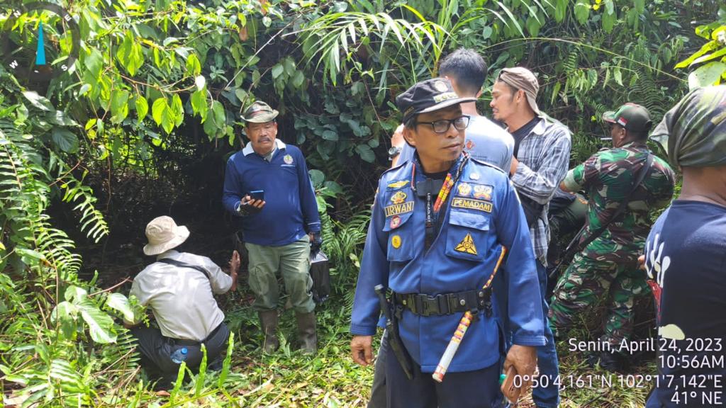 Pencarian jejak baru harimau tidak ditemukan di semak dan lokasi jasad korban pada Senin (24/4/2023).
