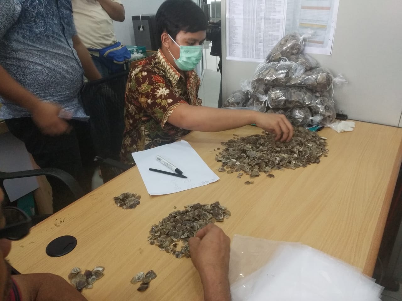 Tim Gabungan Balai Gakkum Sumatera (Ditjen Gakkum), Direktorat KKH (Ditjen KSDAE) KLHK, danÂ Baintelkam Polri berhasil menggagalkan upaya perdagangan sisik satwa dilindungi (trenggiling) sebanyak 14 kilogram yang dikemas dalam 2 kardus, Rabu (10/6/2020).(