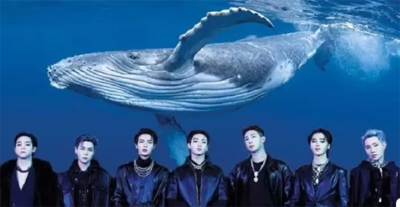 Paus paling kesepian jadi inspirasi BTS dalam pembuatan lagu berjudul Whalien 52.