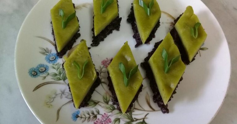 Kue Srikaya, salah satu kuliner khas Tembilahan, Inhil.
