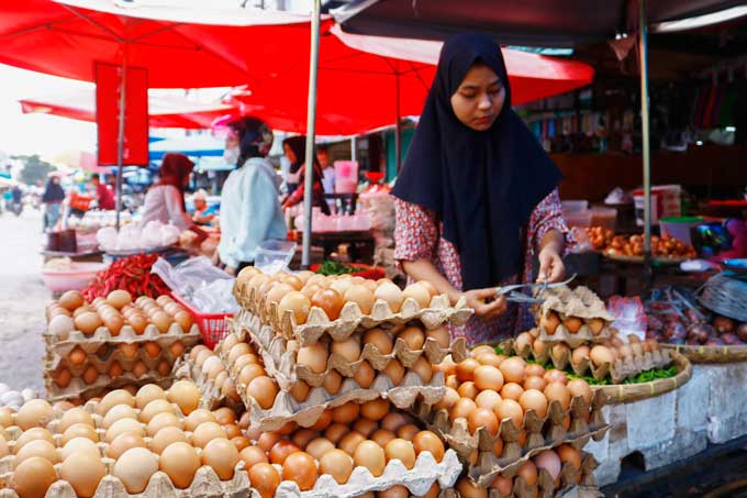 Salah seorang pedagang mengikat telur yang dijual di Pasar Jalan Teratai Pekanbaru, Ahad (19/9/2021). Harga telur dipasaran mengalami penurunan.