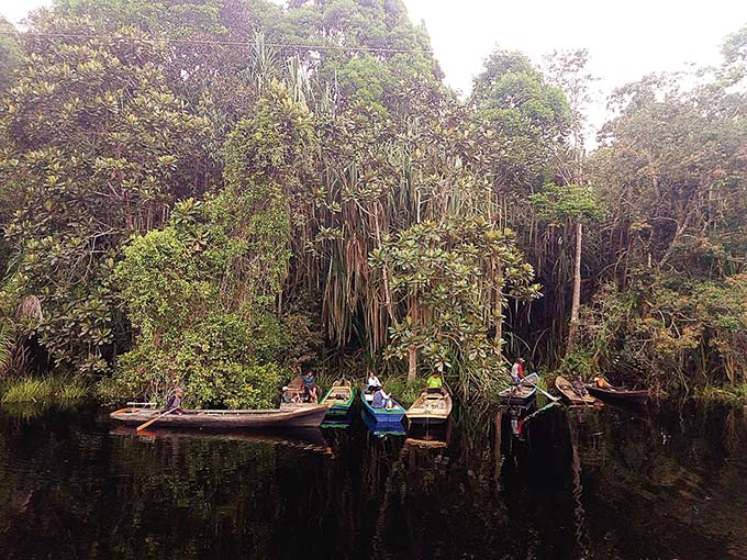 Hutan mangrove di kawasan Taman Nasional Danau Zamrud, Kabupaten Siak menjadi ekowisata mangrove.  Para nelayan siap mengantarkan wisatawan yang ingin mengelilingi Danau Zamrud dengan menggunakan sampan. Foto diambil baru-baru ini.