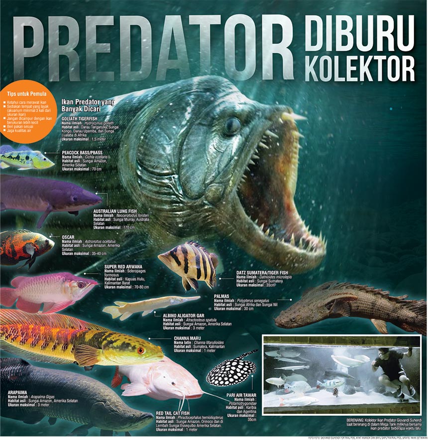 Ilustrasi Cover Halaman 1 Koran Riau Pos edisi terbit Ahad (22/8/2021).