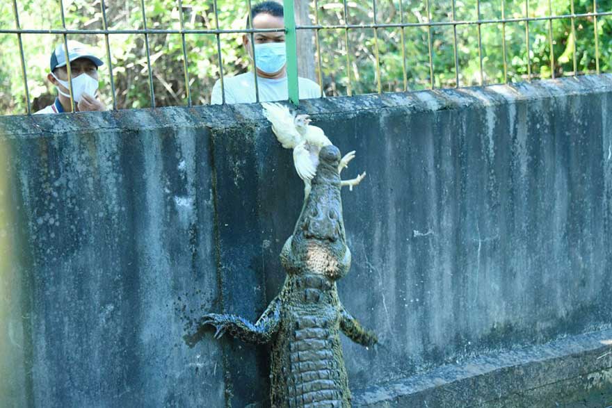 Wakil Bupati Bengkalis H Bagus Santoso bersama Kepala BB KSDA Riau Suharyono saat meninjau  Kebun Binatang Selatbaru, Ahad (25/4/2021).