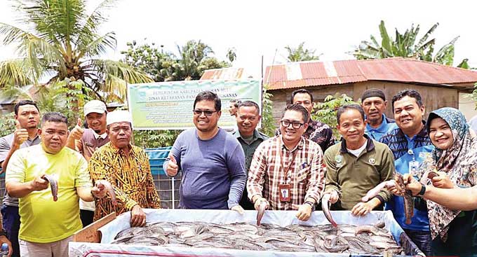 Kepala DKPP Rohul Barikun SP (tiga kanan) melakukan panen perdana ikan lele bersama milik Kelompok Ternak  Ikan Maju di Desa Giti, Kecamatan Kabun, Kamis (2/3/2023).