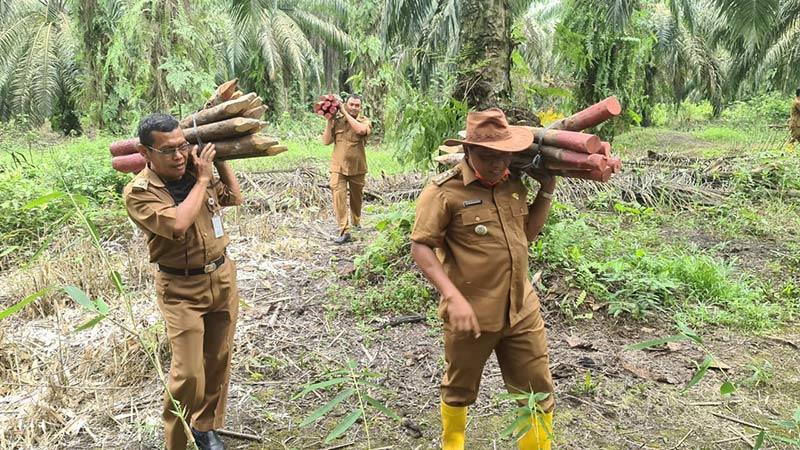Camat Rumbai Pesisir Syamsudin (kanan) dan staf saat akan mematok tanah yang terdampak pembangunan jalan lingkar, belum lama ini. (Camat Rumbai Pesisir for RIAUPOS.CO)