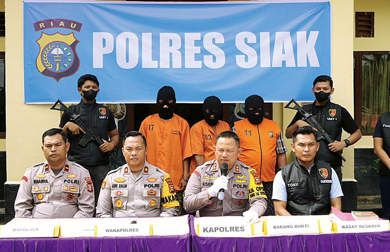 Kapolres Siak Asep Sujarwadi bersama Wakapolres, Kasat dan Kapolsek Sabak Auh menggelar konferensi pers pengungkapan penangkapan kawanan pencuri sapi di Polsek Sabak Auh, Ahad (10/12/2023).