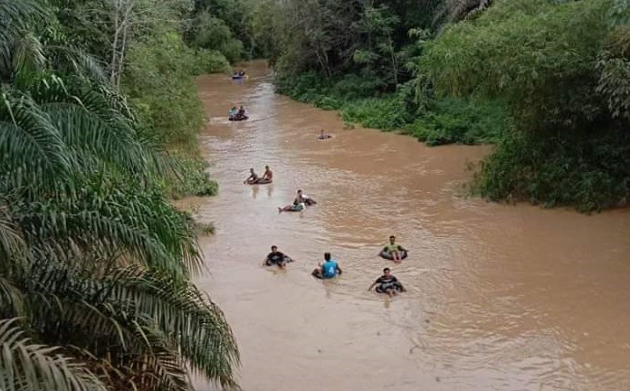 Puluhan masyarakat setempat terlihat turun ke sungai mencari seorang warga yang terseret arus di Desa Pantai Kecamatan Kuantan Mudik, Senin (1/6/2020). (MARDIAS CHAN/RIAUPOS.CO)