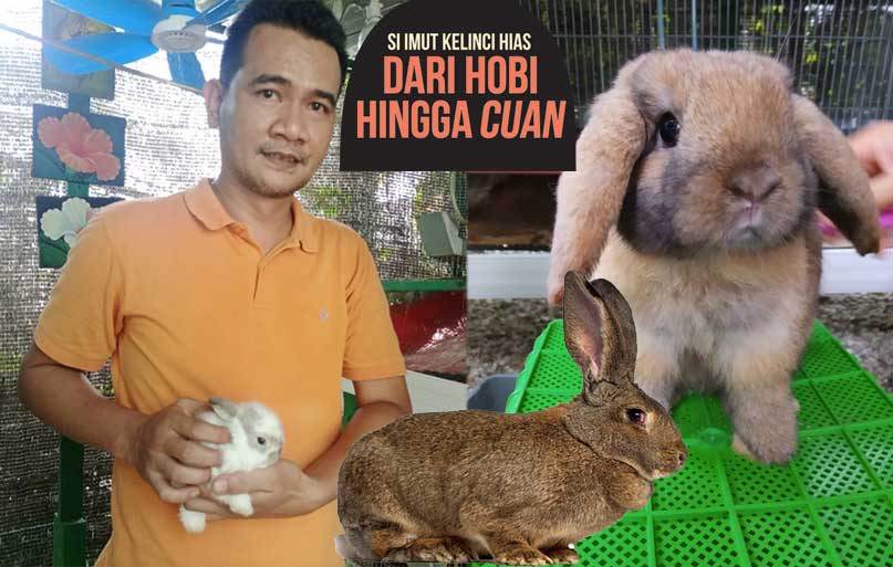 Arfiansyah Putra Pemilik Waroenk Prafiqnas Rabbits Pekanbaru