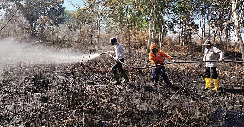 Personel tim gabungan memadamkan api di lahan warga yang terbakar di Kecamatan Kubu, Rokan Hilir, Selasa (30/5/2023).