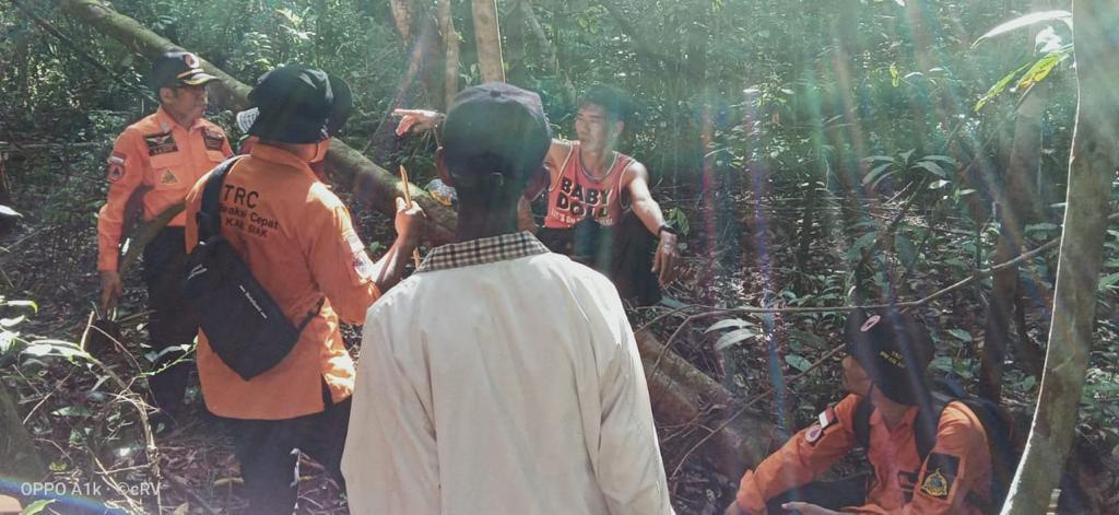 Upaya pencarian salah seorang warga bernama Rahmat Ucok yang diketahui hilang di areal Hutan Danau Zamrud, Kabupaten Siak. Hingga saat ini, Ucok masih belum di temukan.(BPBD SIAK FOR RIAUPOS.CO)