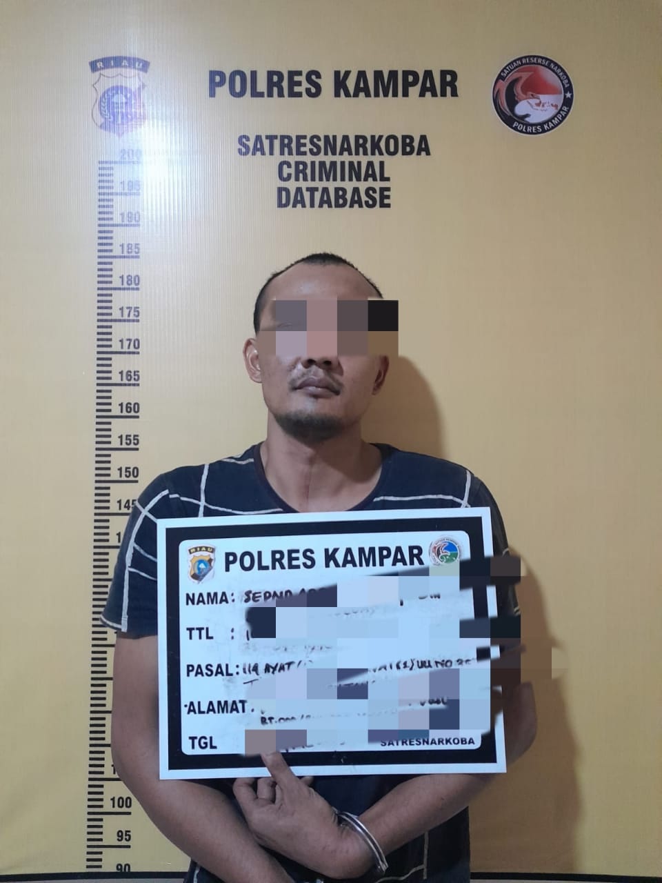 Satnarkoba Polres Kampar mengamankan seorang diduga pengedar narkoba jenis sabu-sabu di perkebunan kelapa sawit Jalan Purbaya Dusun III, Desa Tanah Tinggi, Kecamatan Tapung Hilir, Kabupaten Kampar, Kamis (27/4/2023).