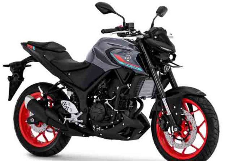 Gebrakan Yamaha di awal 2021 bukan mengeluarkan produk baru, melainkan hanya memberikan warna baru pada salah satu produknya yaitu MT-25. (DOK YMII)
