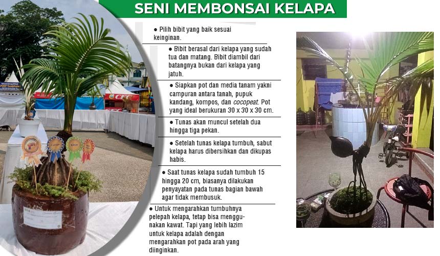 Infografis