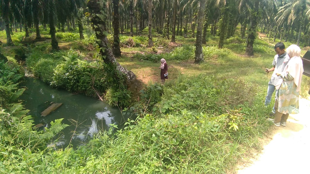 Sejumlah petugas DLH Kampar melakukan observasi sebelum mengambil sampel salah satu anak sungai yang mendadak berubah warna dan bau di Desa Sukaramai, Kecamatan Tapung Hulu, Senin (27/7/2020). (HENDRAWAN KARIMAN/RIAUPOS.CO)